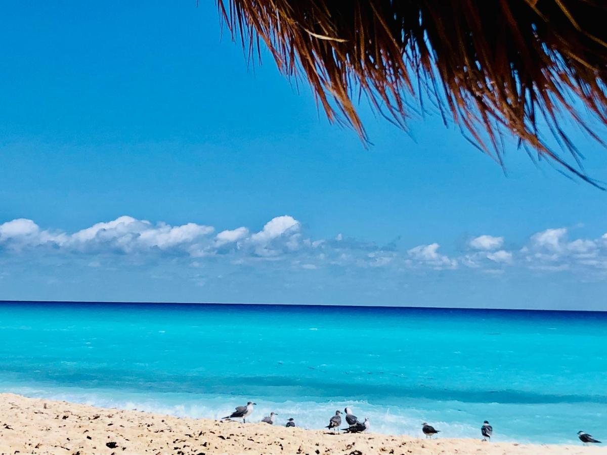 The Suites Of Solymar Cancún Eksteriør bilde